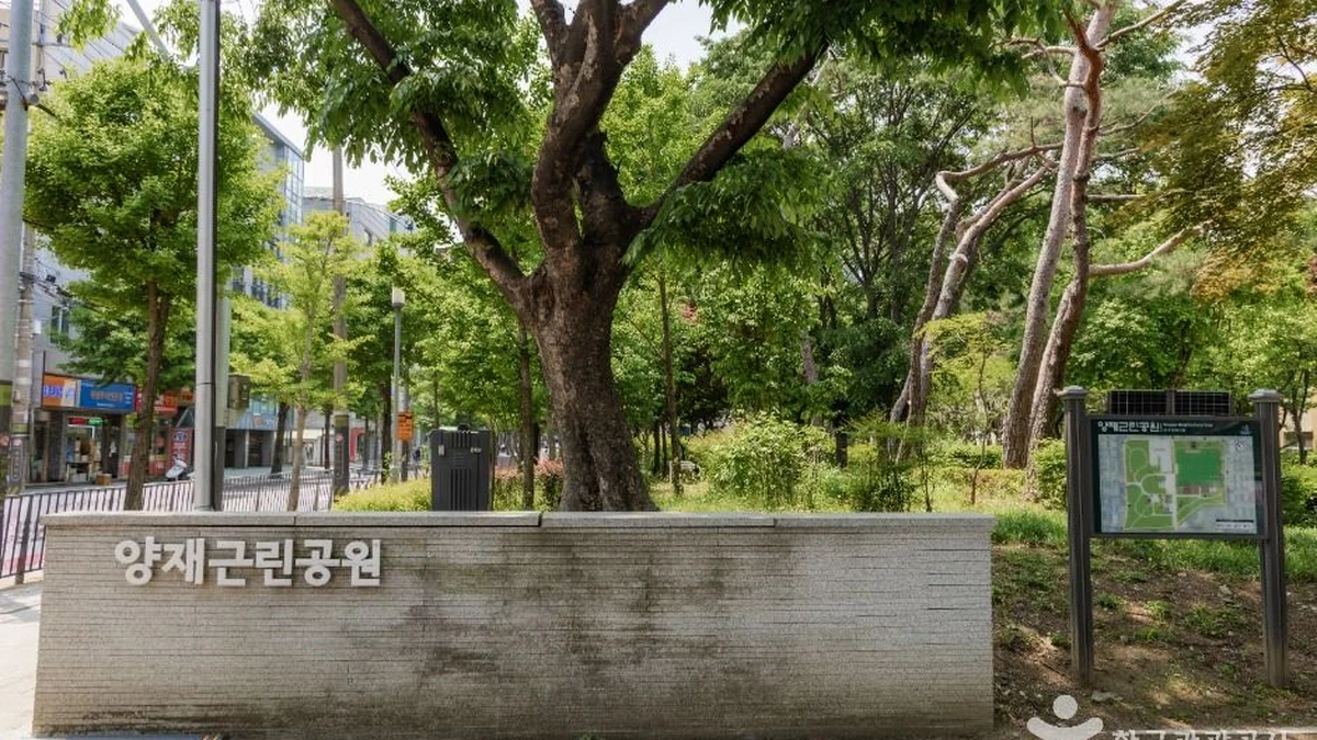 “서울 한복판에 이런 103만㎡ 녹지가?”… 가을 단풍이 절경인 양재근린공원