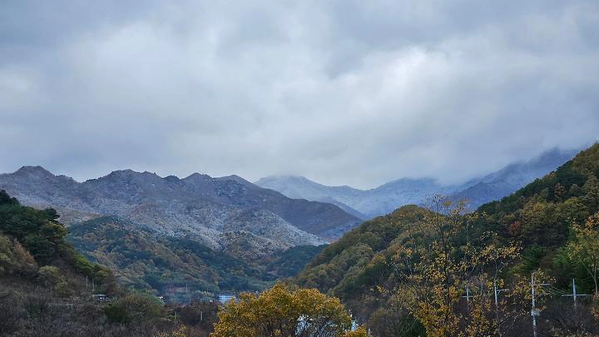 “이렇게 별이 쏟아지다니…” 4계절 내내 별밤의 낭만이 펼쳐지는 힐링 명소