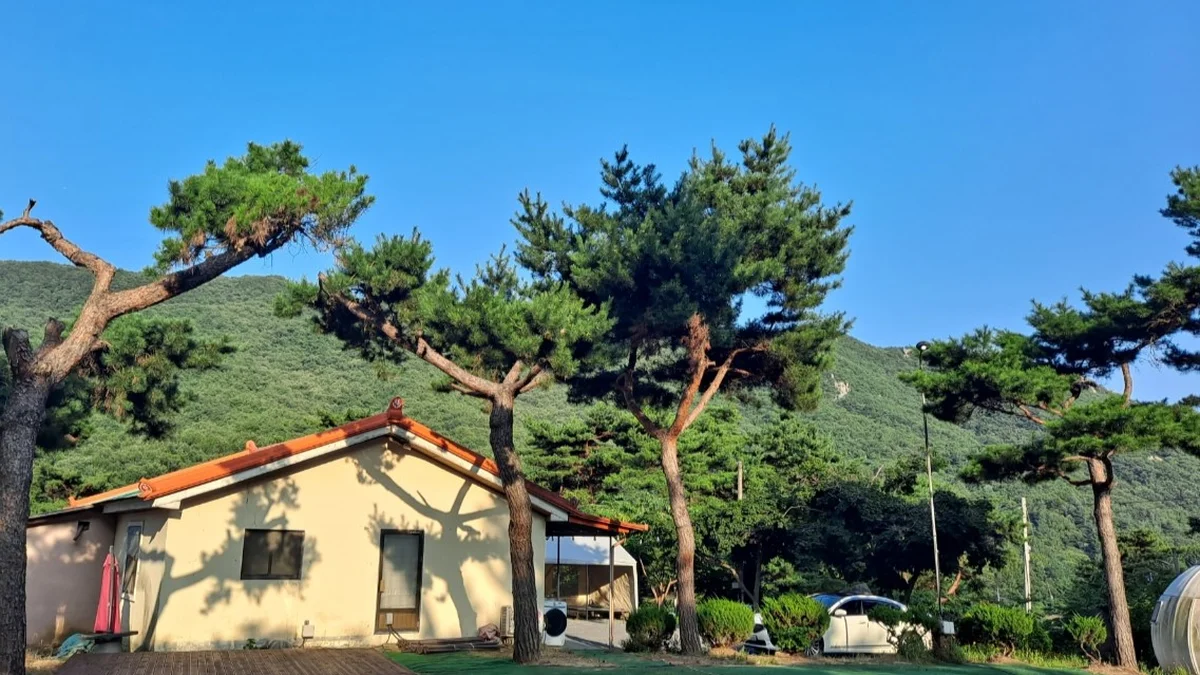 리틀빌리지