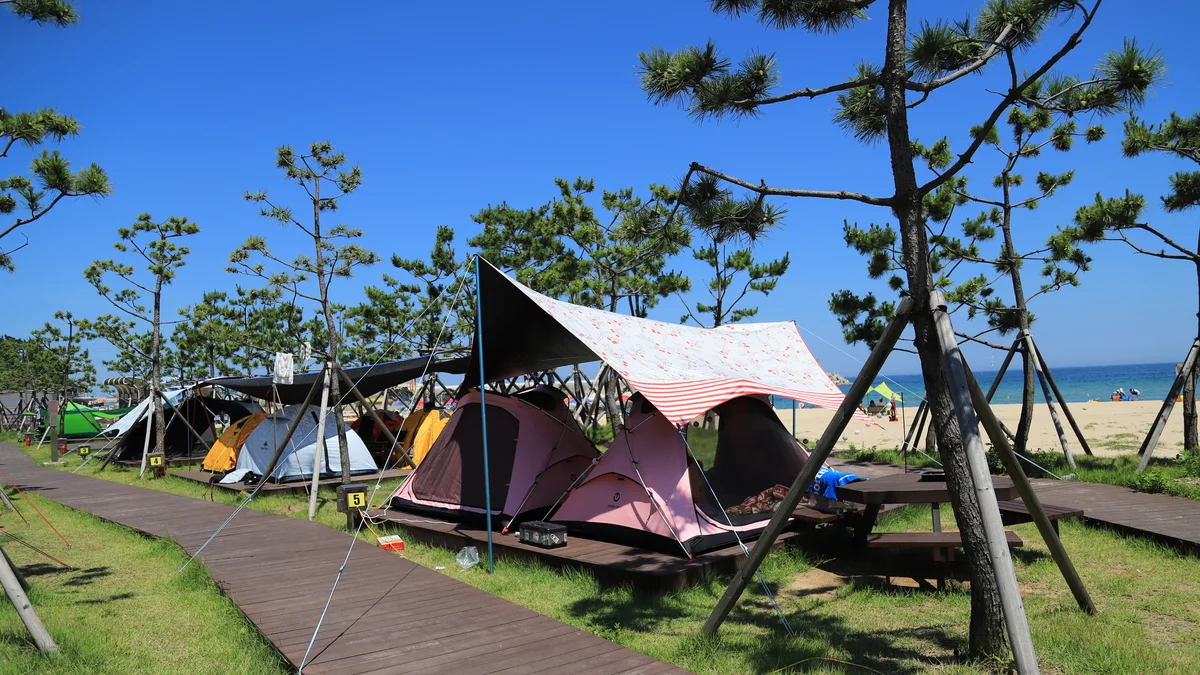 동산포 캠핑장