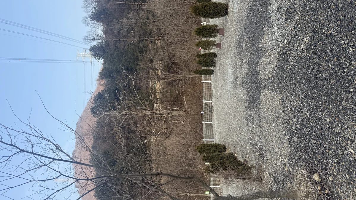 포레스트 캠핑장
