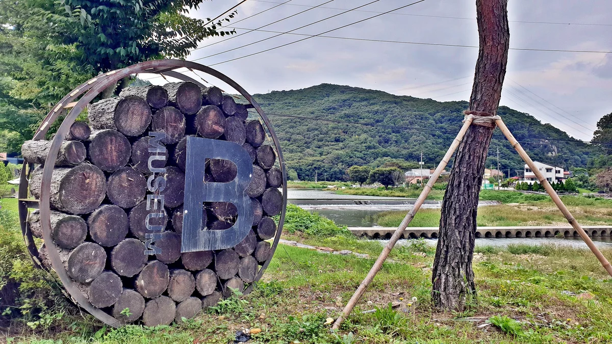 금산 뮤지엄B캠핑장