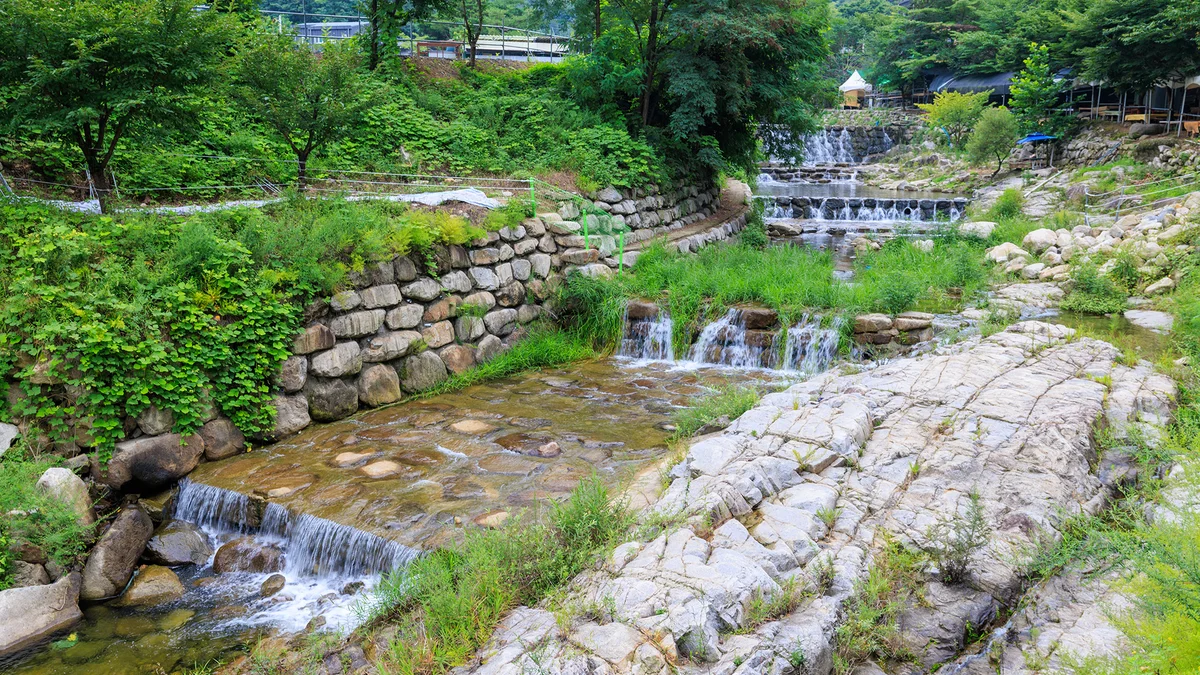 팔공 쉼터 야영장