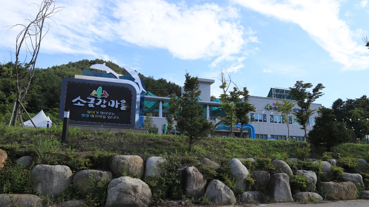 소금강마을에코센터 오토캠핑장
