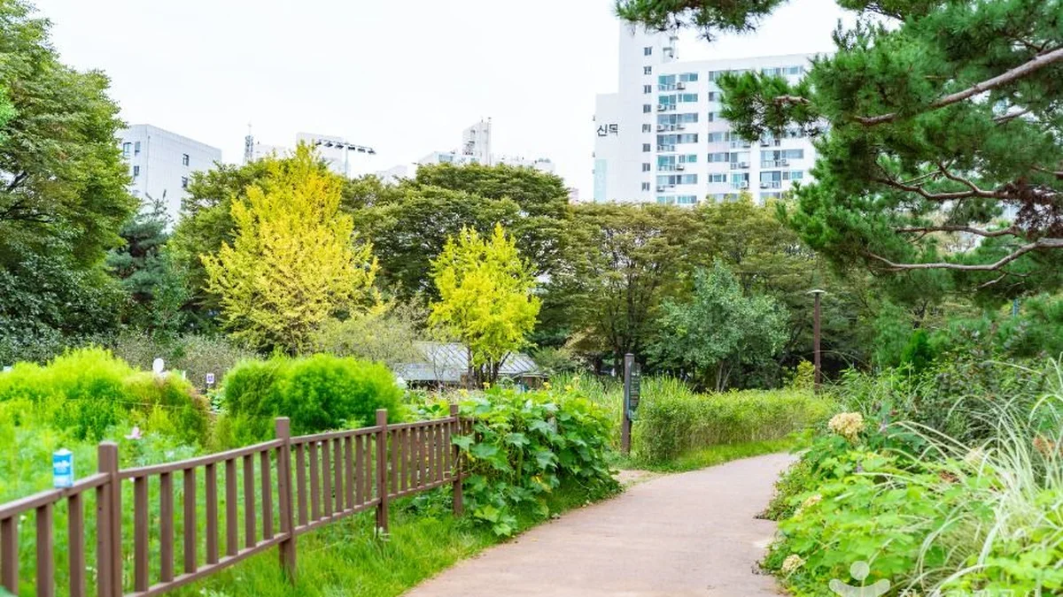 신트리공원(서울)