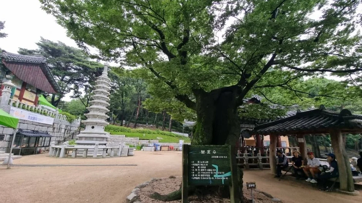 [서울둘레길 12코스] 호암산코스