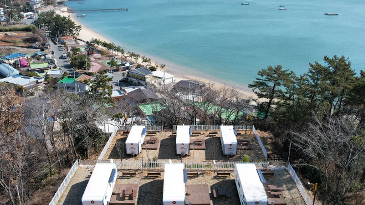 “이런 곳이 있었다니? 갯벌 위로 펼쳐진 159만 평 자연”… 자연 그대로의 진짜 힐링 여행지