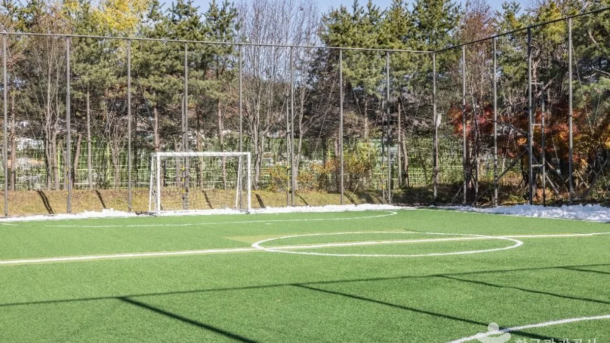 방배배수지체육공원