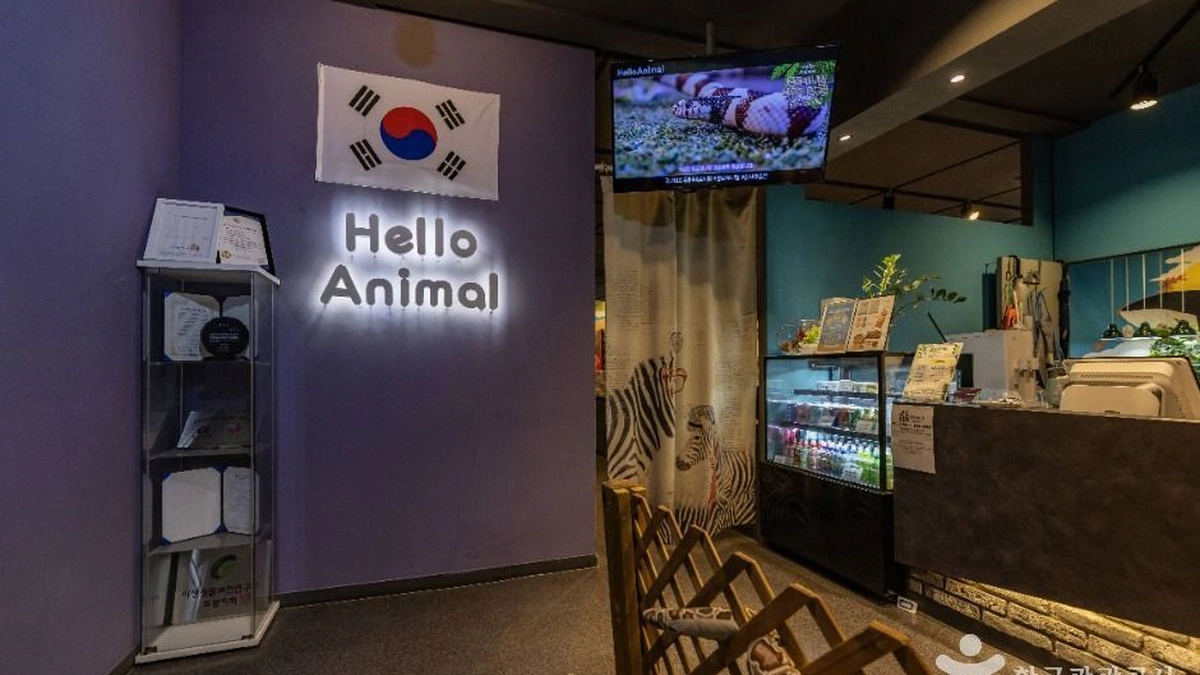 헬로애니멀