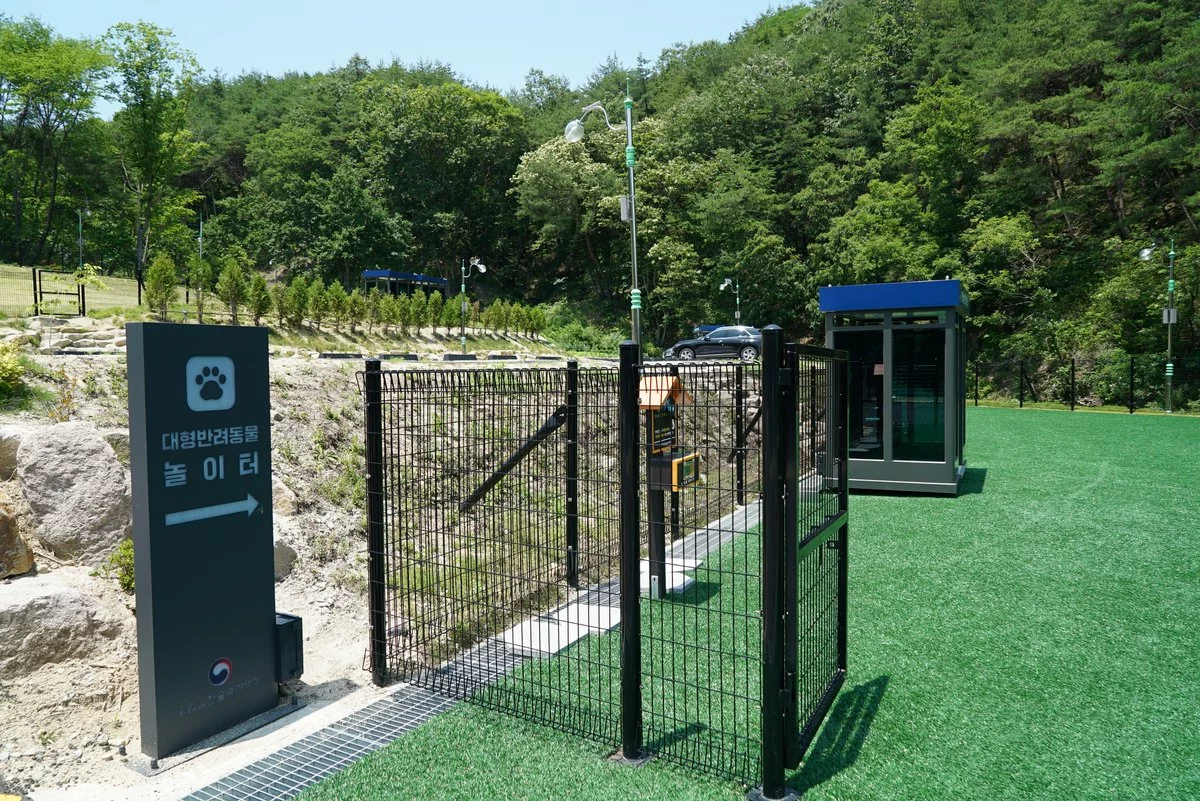김천 숲속야영장 숲길
