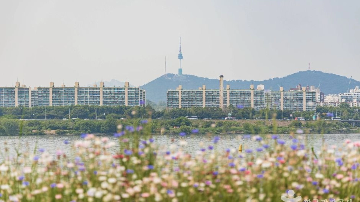 반포 서래섬