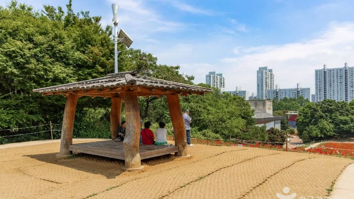 올림픽공원 들꽃마루