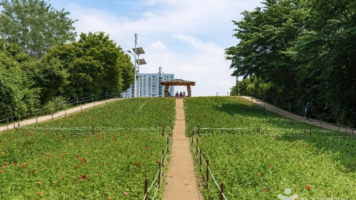 올림픽공원 들꽃마루