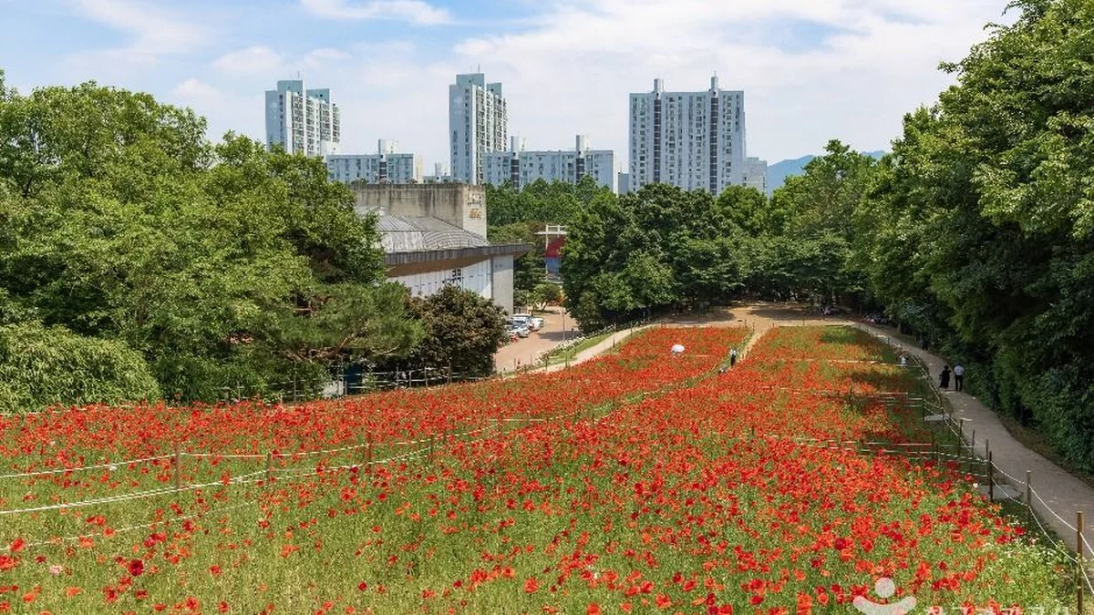올림픽공원 들꽃마루