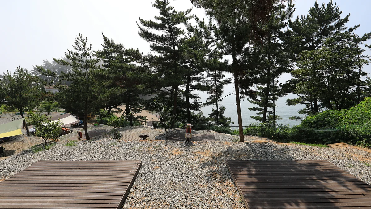 SE클럽(태안둘레길캠핑장&펜션)
