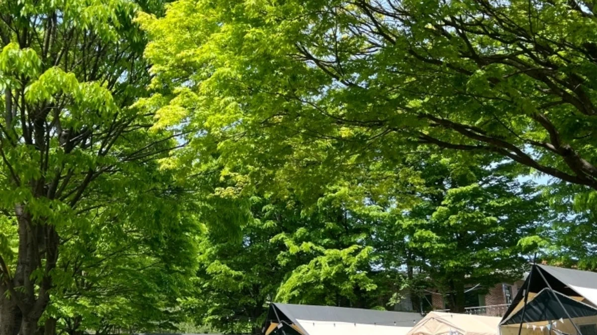 별밤 글램핑