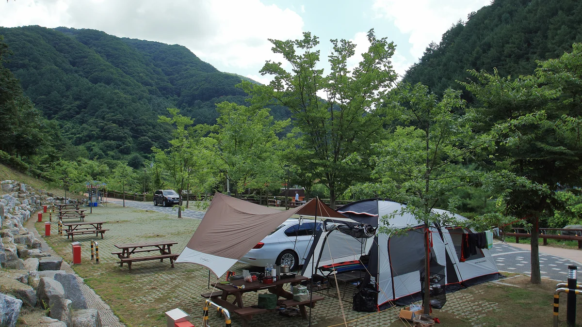 좌구산오토캠핑장