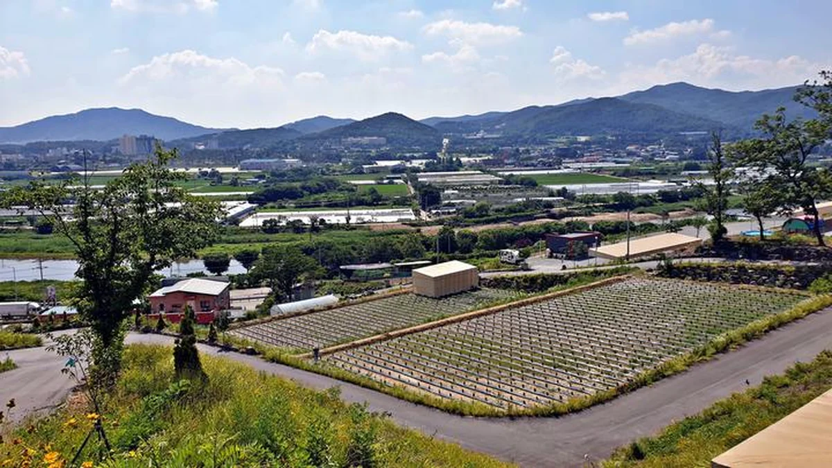 “용인IC에서 5분이라니, 이렇게 가까워?”… 자연 속 평화로운 휴식처 캠핑 여행지
