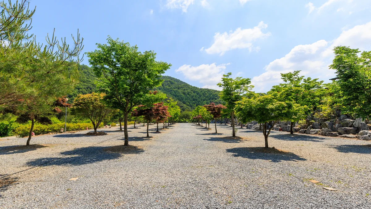 별바라기 캠핑 펜션