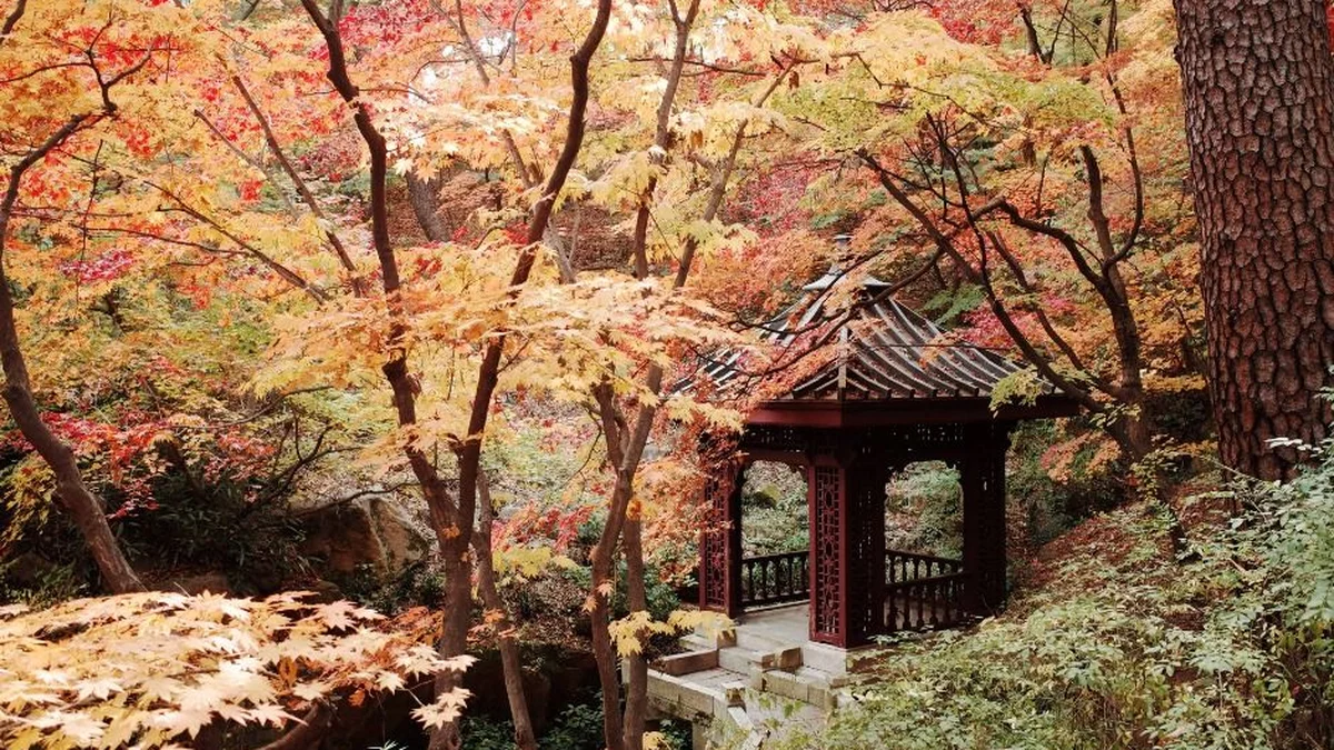 대원군별장(석파정)