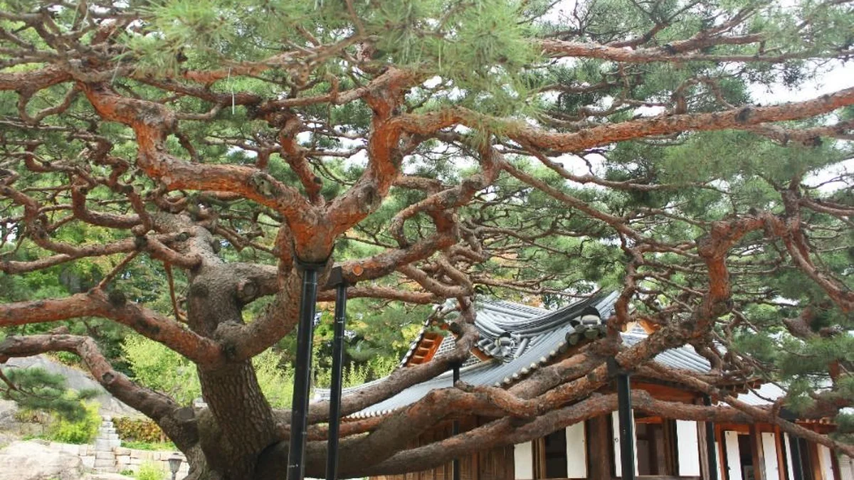 대원군별장(석파정)