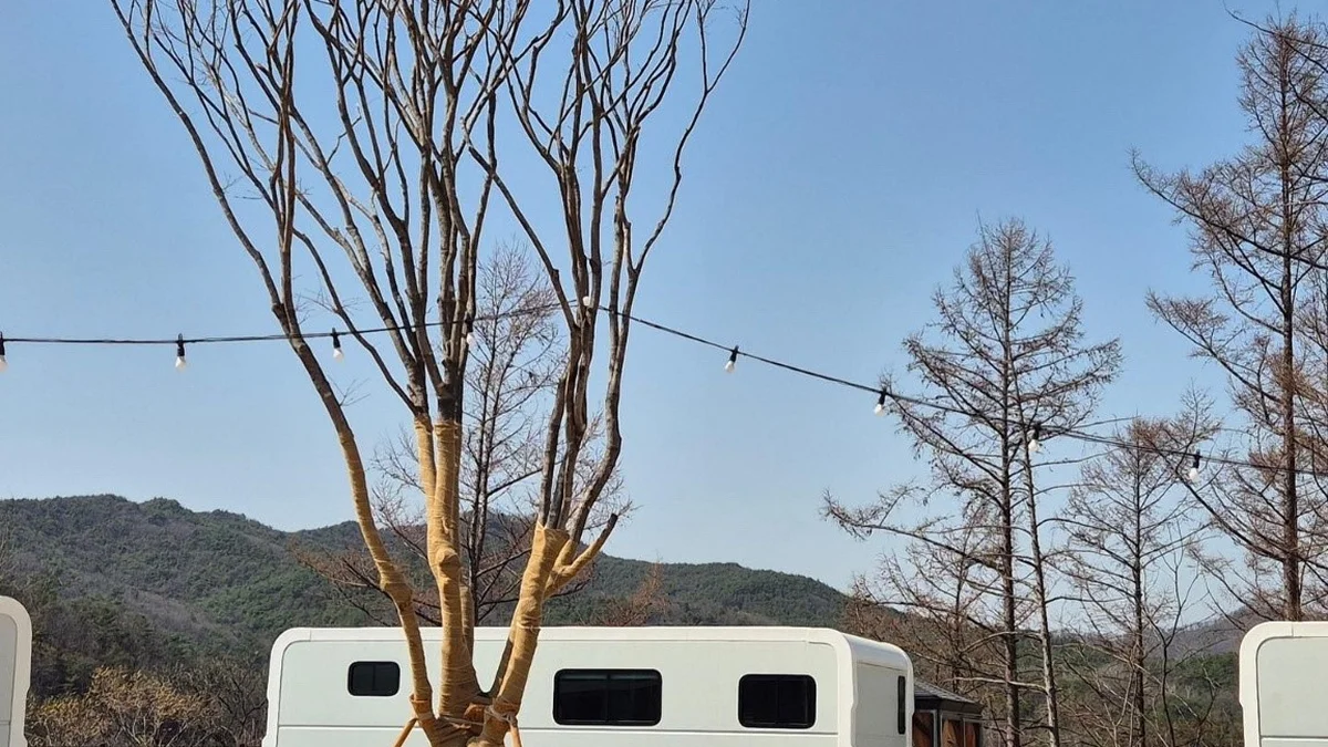 송백농원(이나투캠핑)