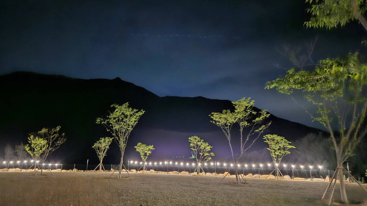이유캠핑