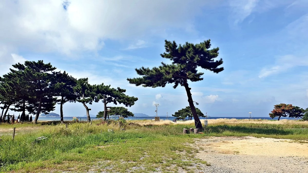 충청남도 여행 경관 3