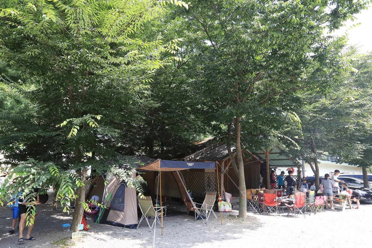 충청북도 여행 경관 3