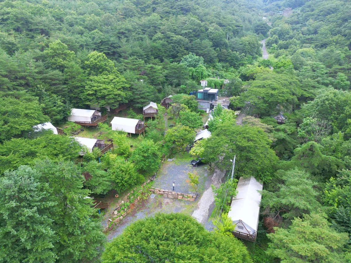 충청북도 여행 경관 2