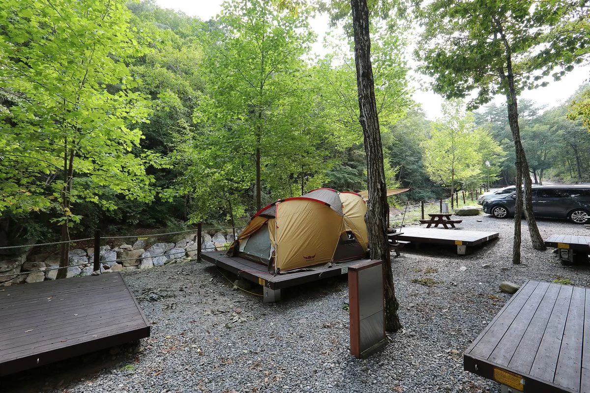 충청북도 여행 경관 2