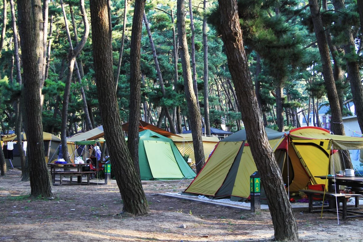 충청남도 여행 경관 3