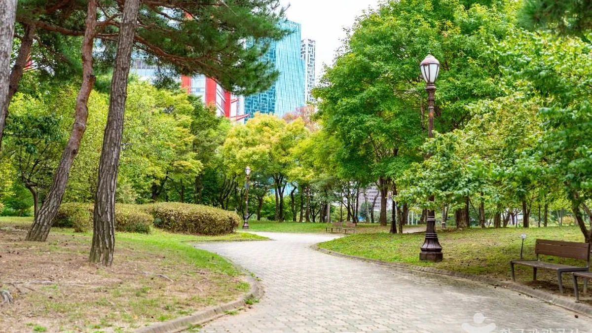 여의도공원
