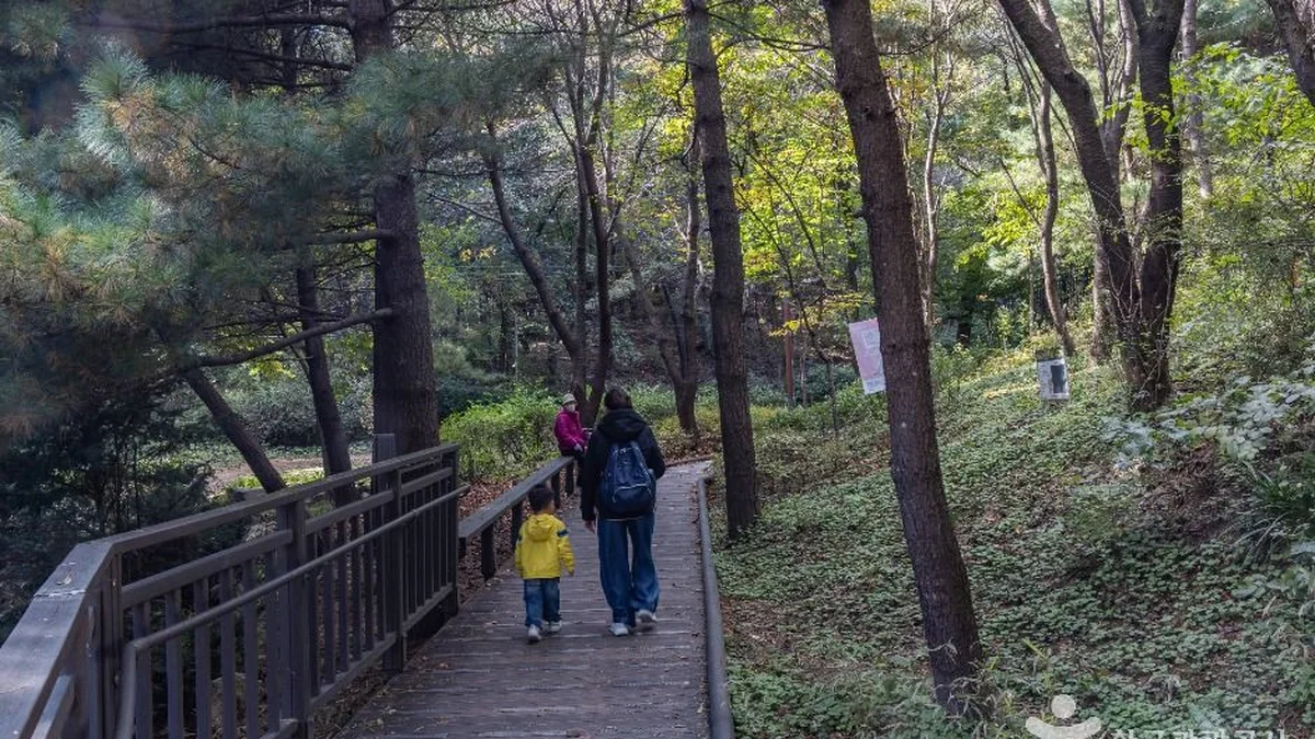 봉화산(서울)