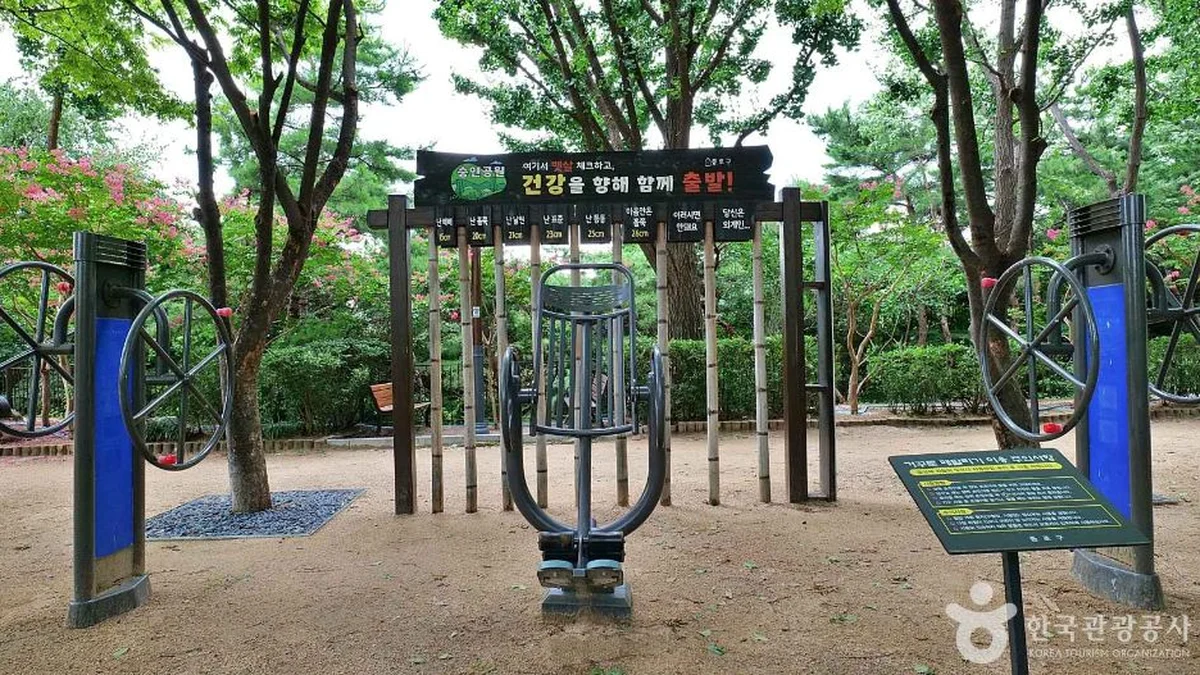 “서울 한복판에 20,000㎡ 자연 쉼터가 있다니?”… 종로구의 오랜 사랑받는 공원