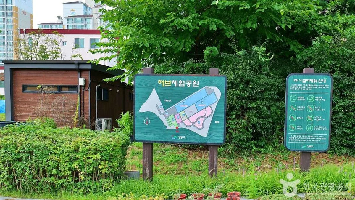 “5,000㎡를 가득 채운 허브향, 진짜 공원이라니”… 도심 속 서울 강동구 힐링 여행지