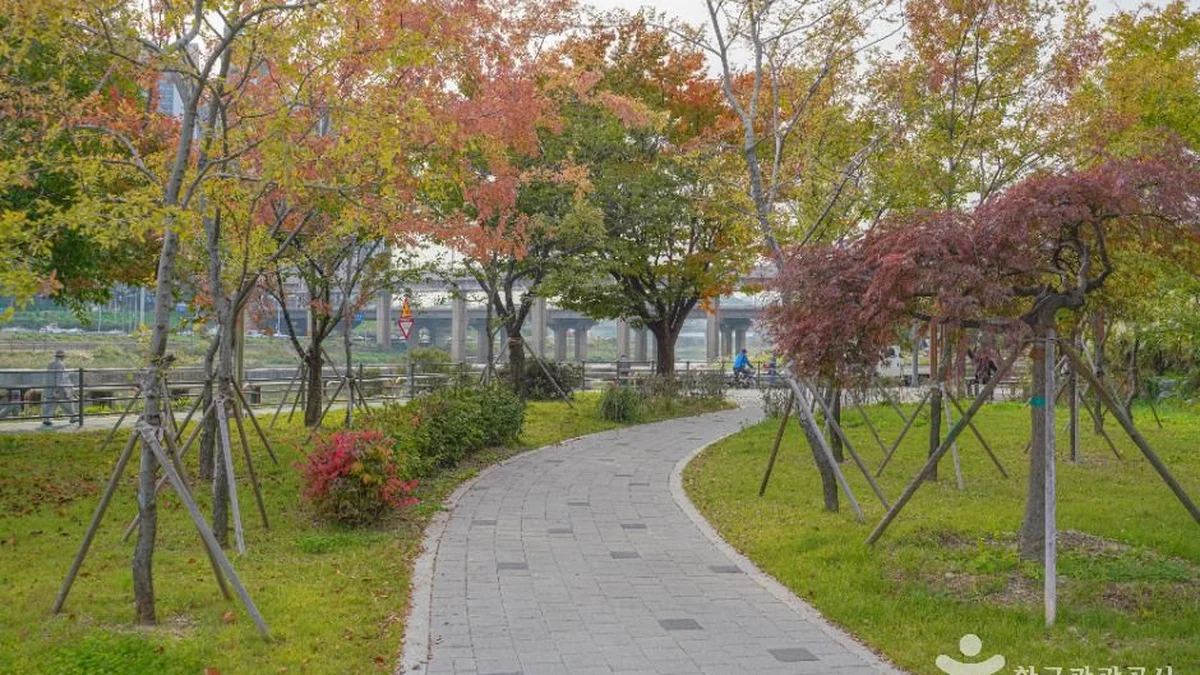 살곶이체육공원