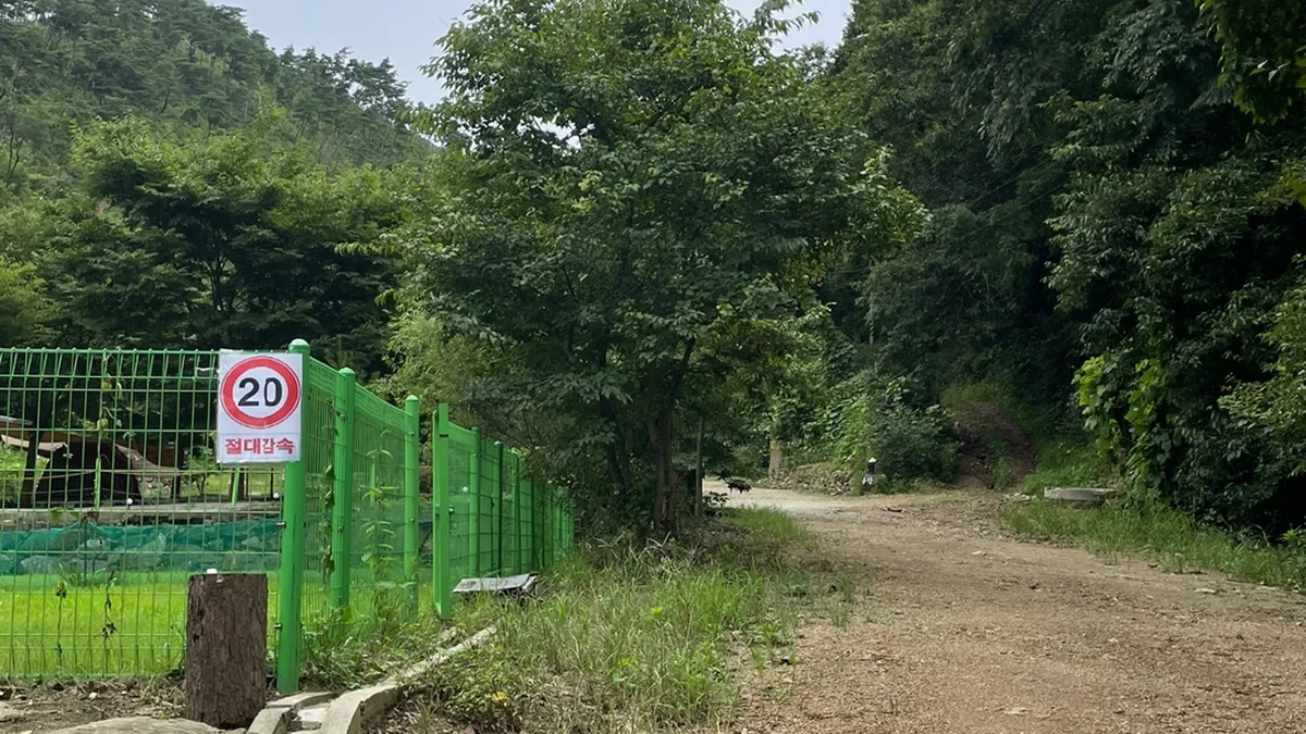 반딧불 캠핑장