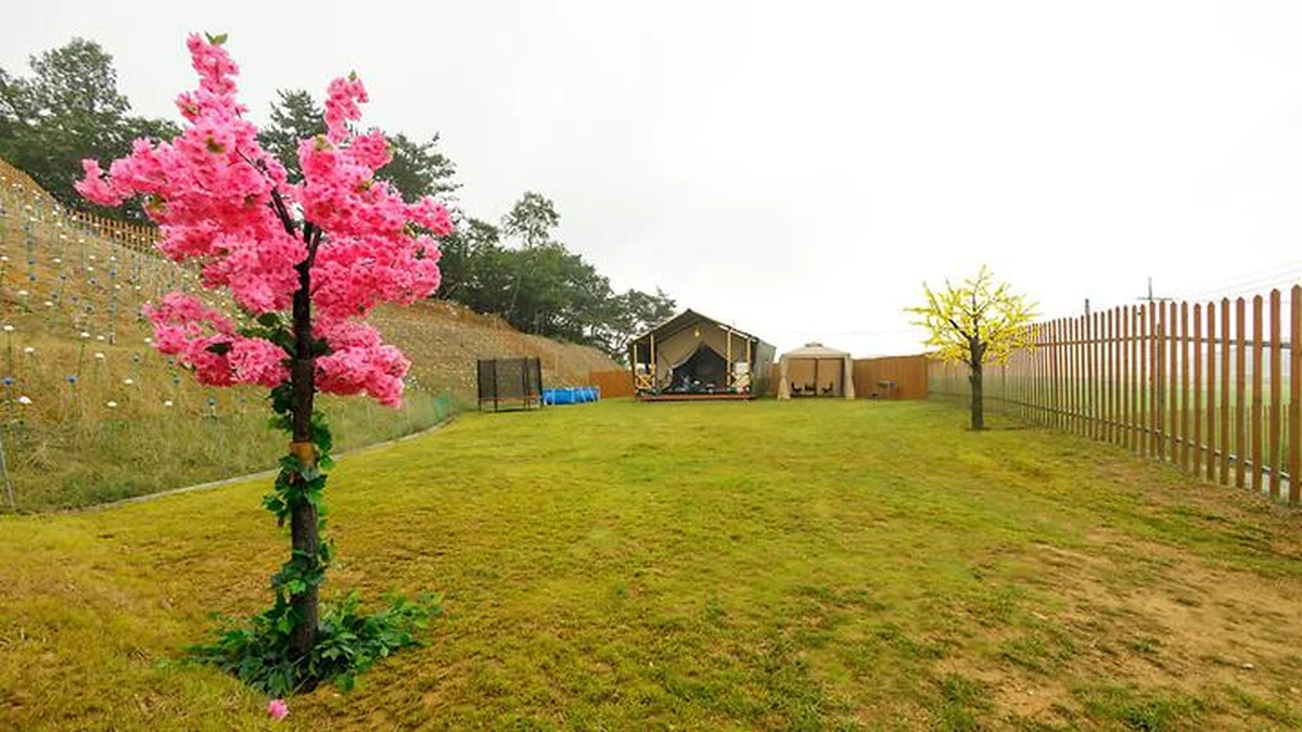 (주)세기(도그팰리스)