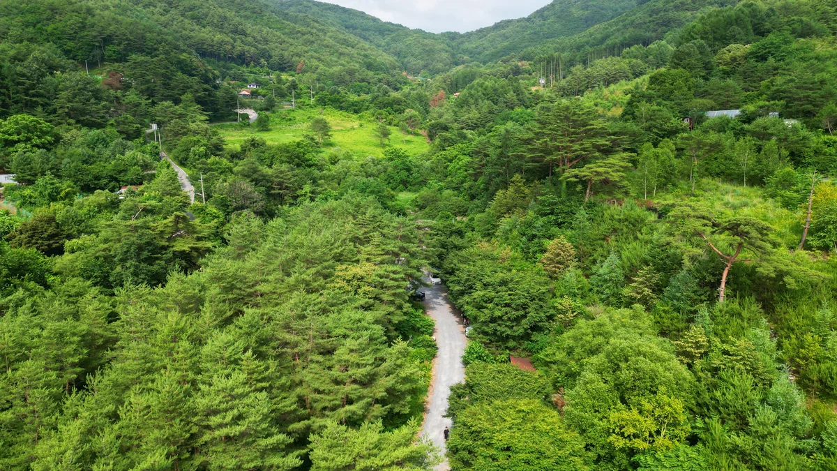 별빛캠핑장