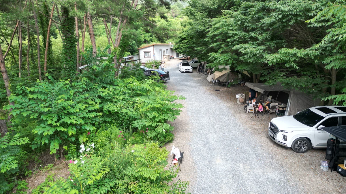 별빛캠핑장