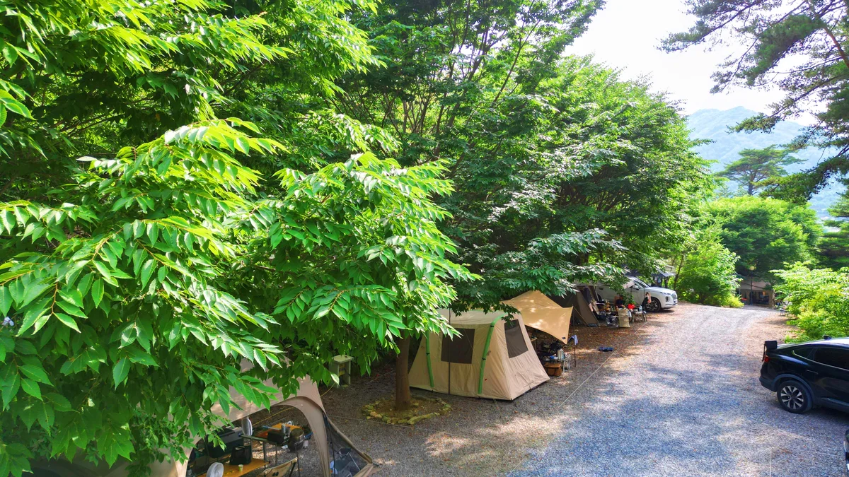 별빛캠핑장