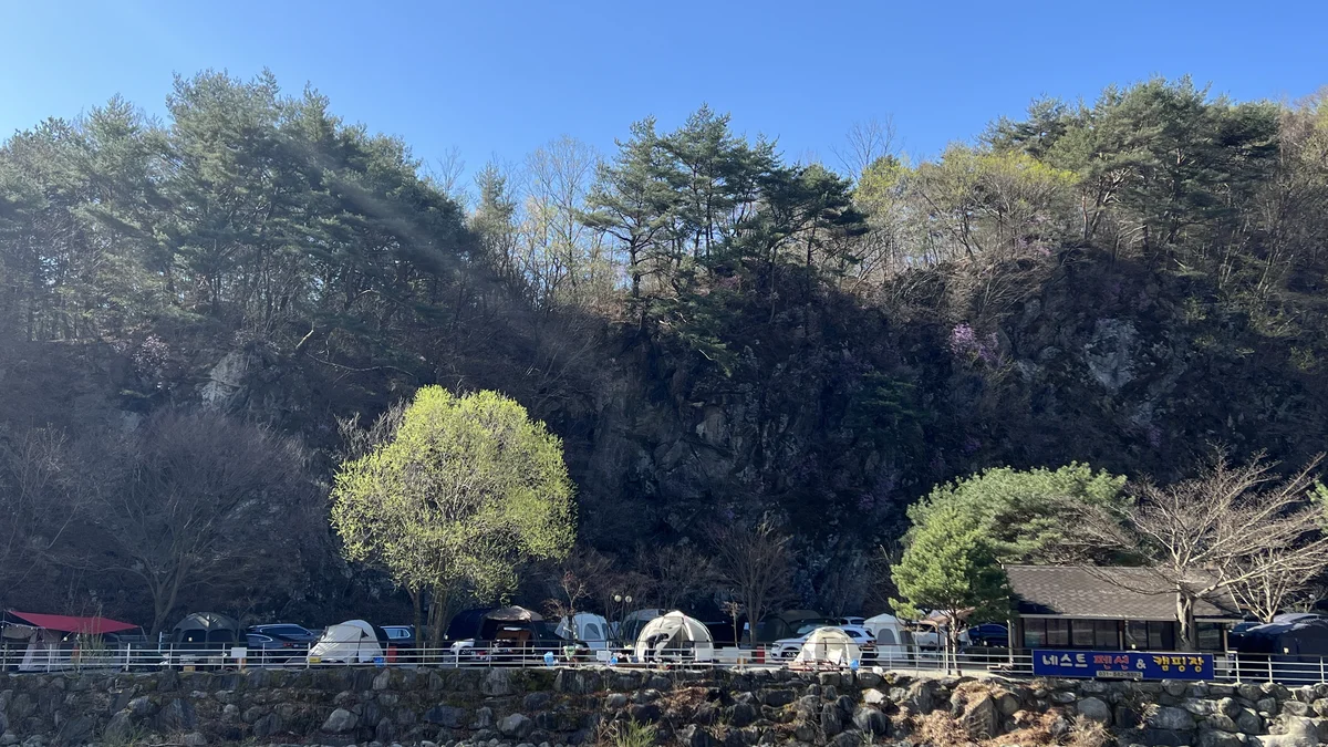 네스트캠핑장