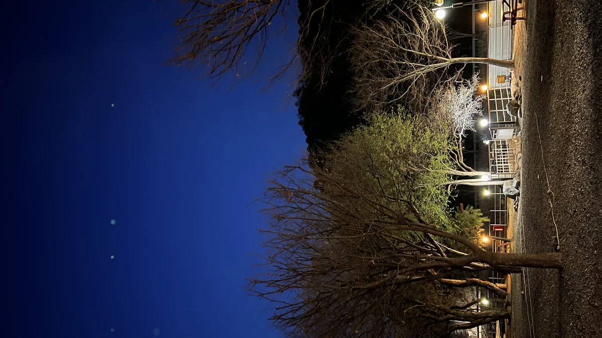 네스트캠핑장