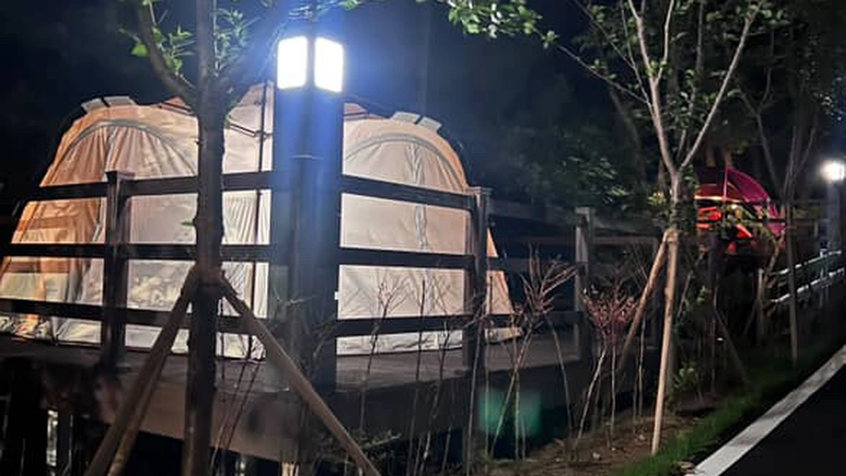의성단밀숲속야영장