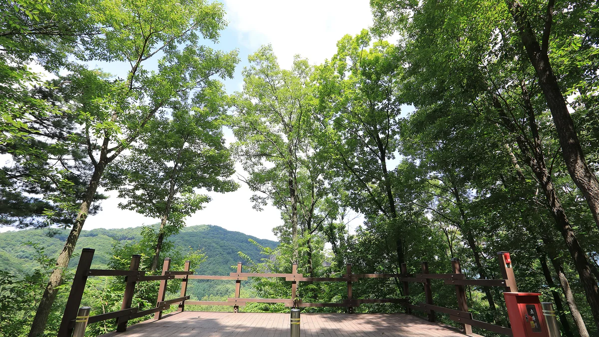 행복숲체험원 오토캠핑장