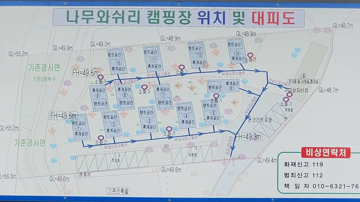 나무와 쉬리