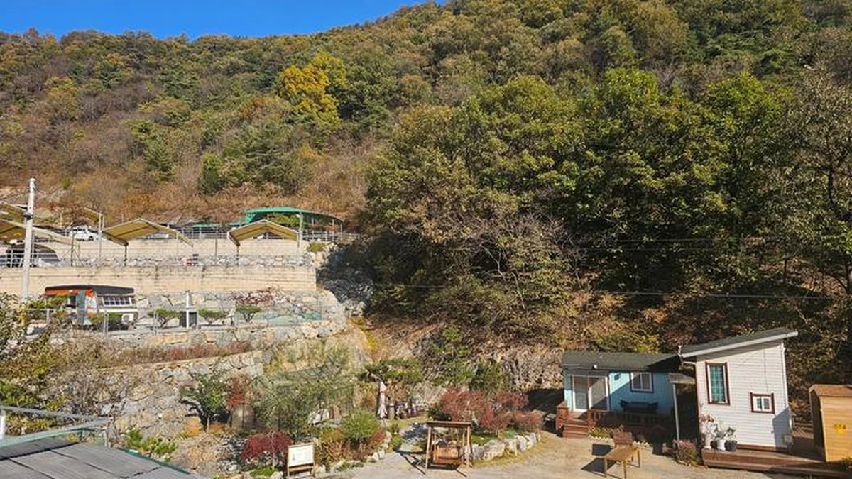 단양 별마루캠핑장