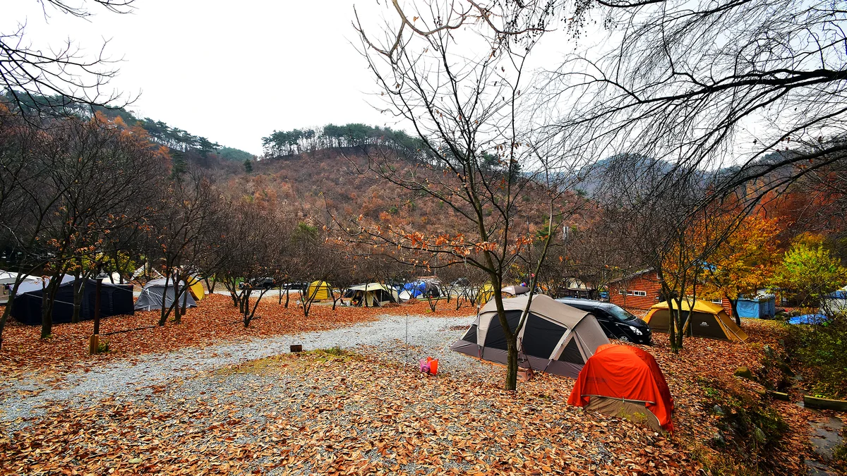 LAFORESTA(라포레스타)