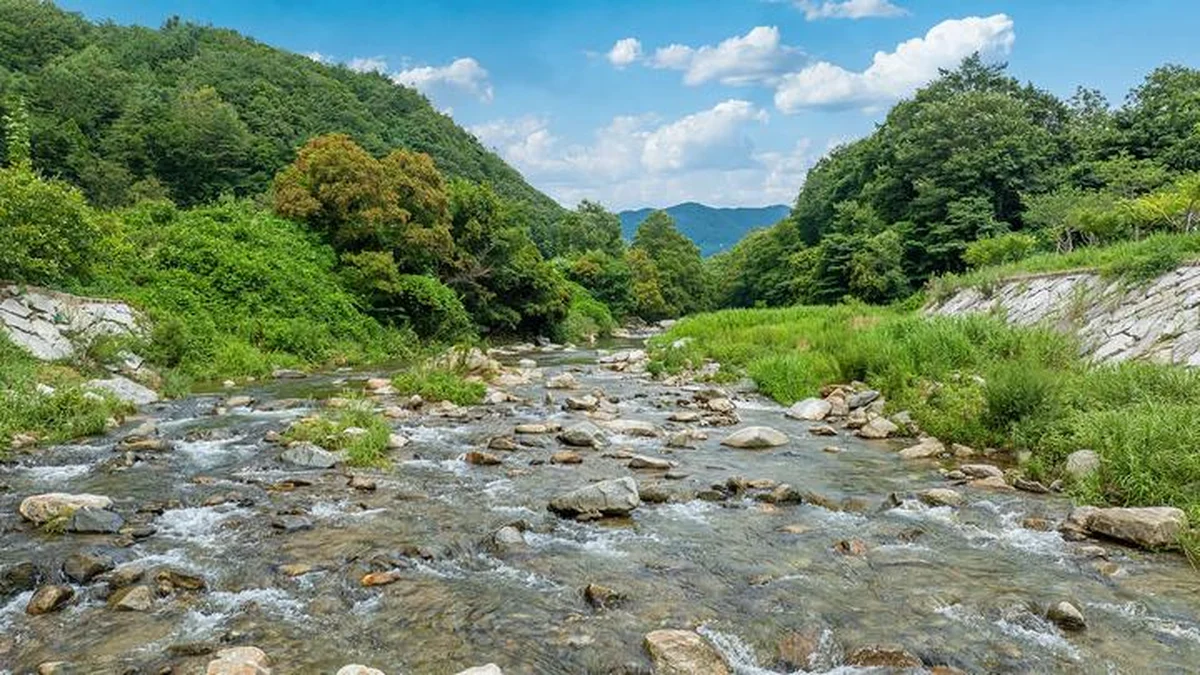 “이렇게 넓은 수영장이 있다니…” 무주 10,000㎡ 반딧불카라반캠핑장 명소